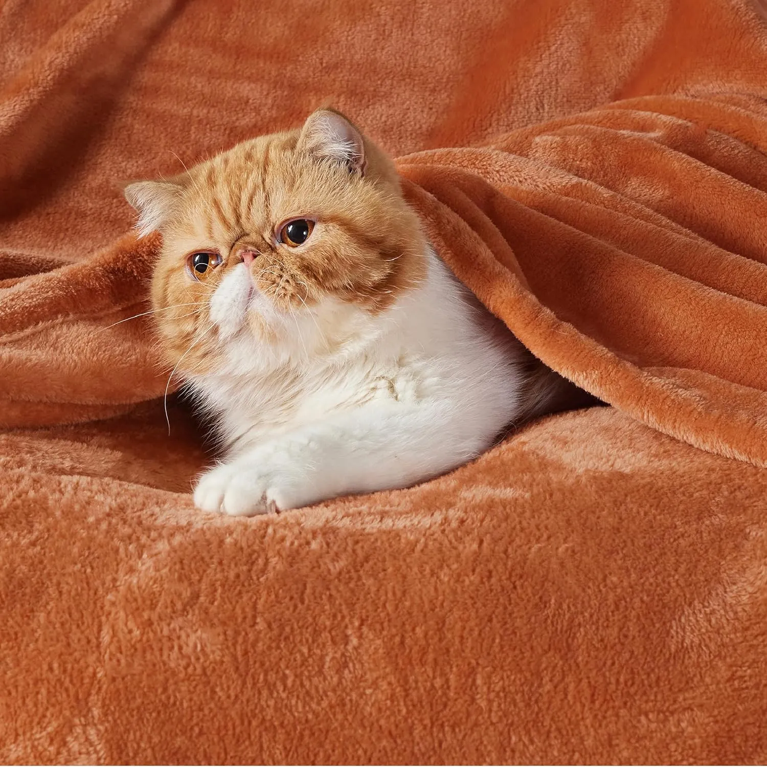 Bedsure Burnt Orange Fleece Throw Blanket Mango - 300GSM Soft Lightweight Plush Cozy Blankets for Bed, Sofa, Couch, Travel, Camping