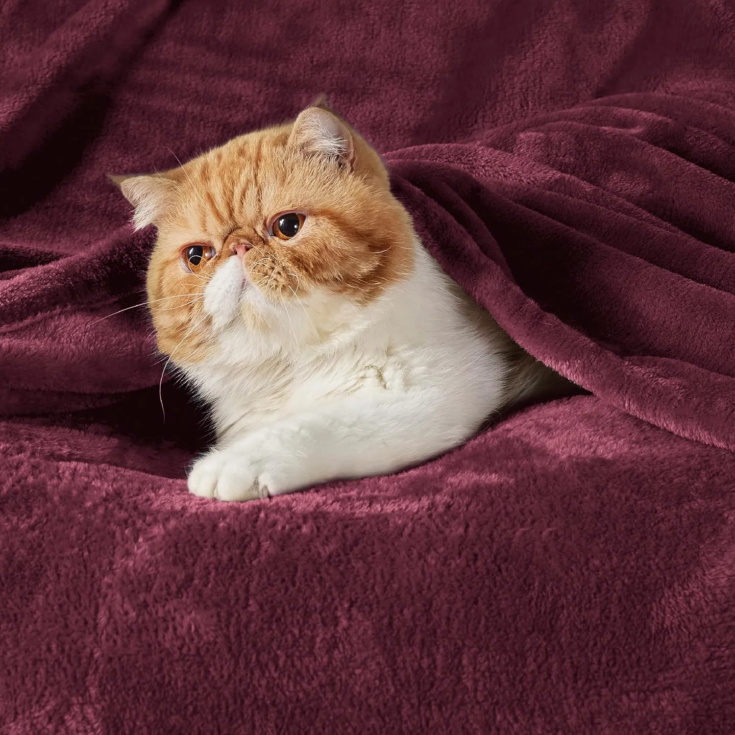 Bedsure Fleece Blankets Queen Size Red Burgundy - Bed Blanket Soft Lightweight Plush Fuzzy Cozy Luxury Microfiber, 90x90 inches