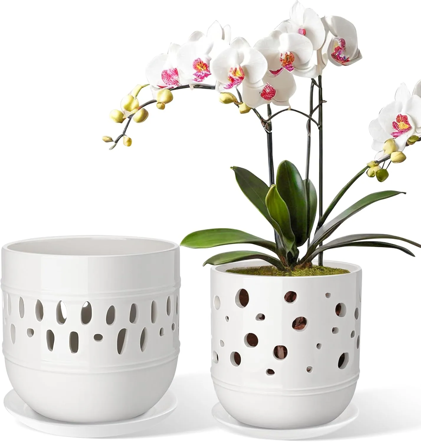 Orchid Pot with Holes, 5 6 Inch Ceramic Orchid Pots, Flower Pots with Drainage and Saucer, Promoting Air Circulation and Drainage, Indoor/Outdoor Plant Pot, Set of 2 - White